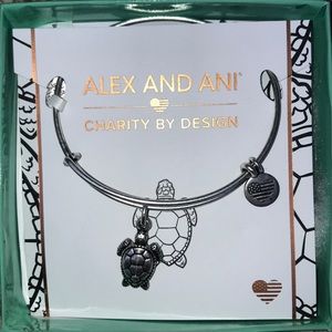 Alex and Ani turtle bracelet